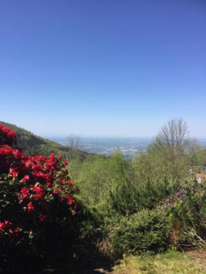 View from the Rock